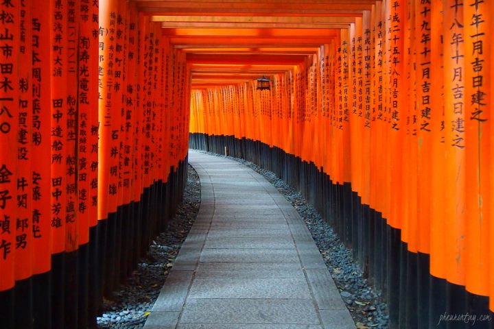 fushimi inari shrine tori gates