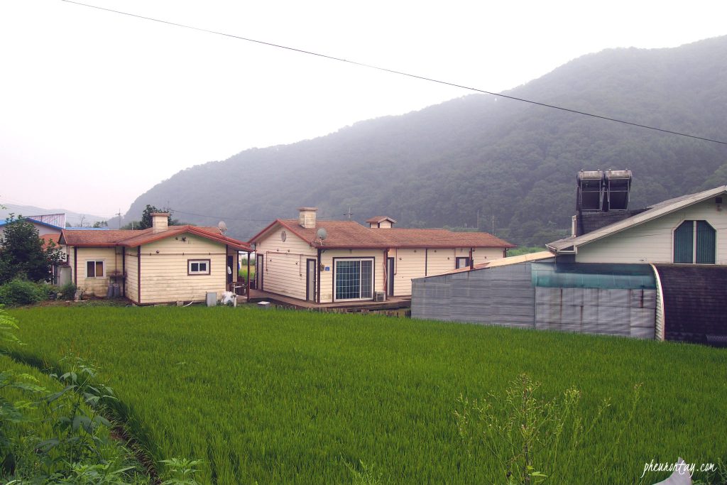 chuncheon farming experience , farm tour korea 