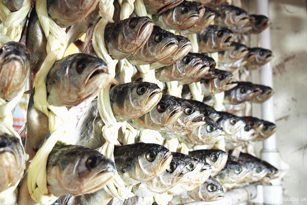 gwangjang market dry fishes