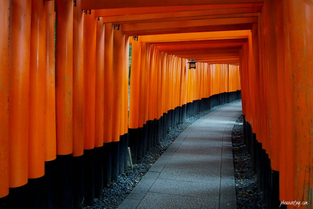 tori gates at fushimi inari shrine